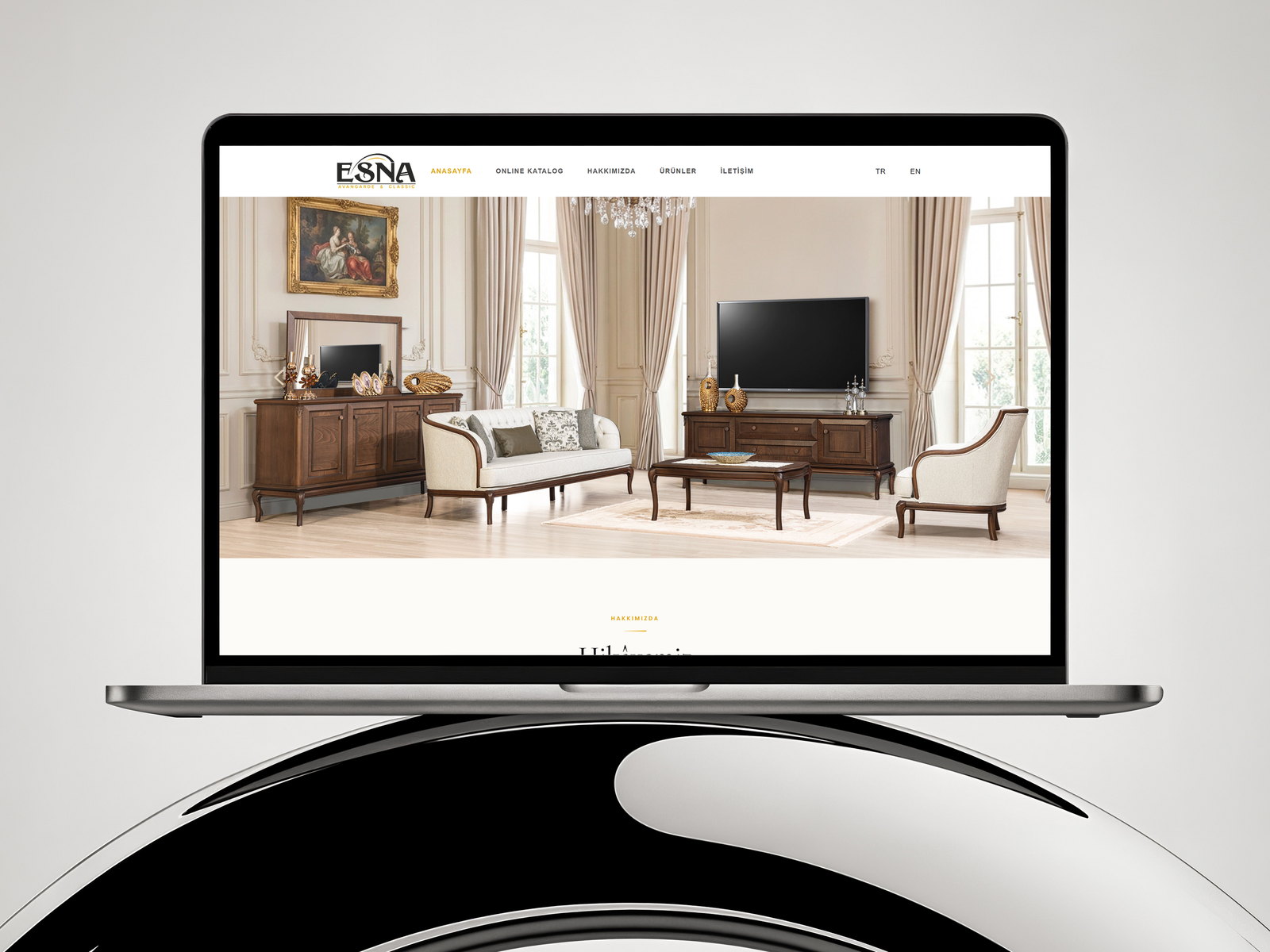 Esna Koltuk web sitesi ekran görüntüsü