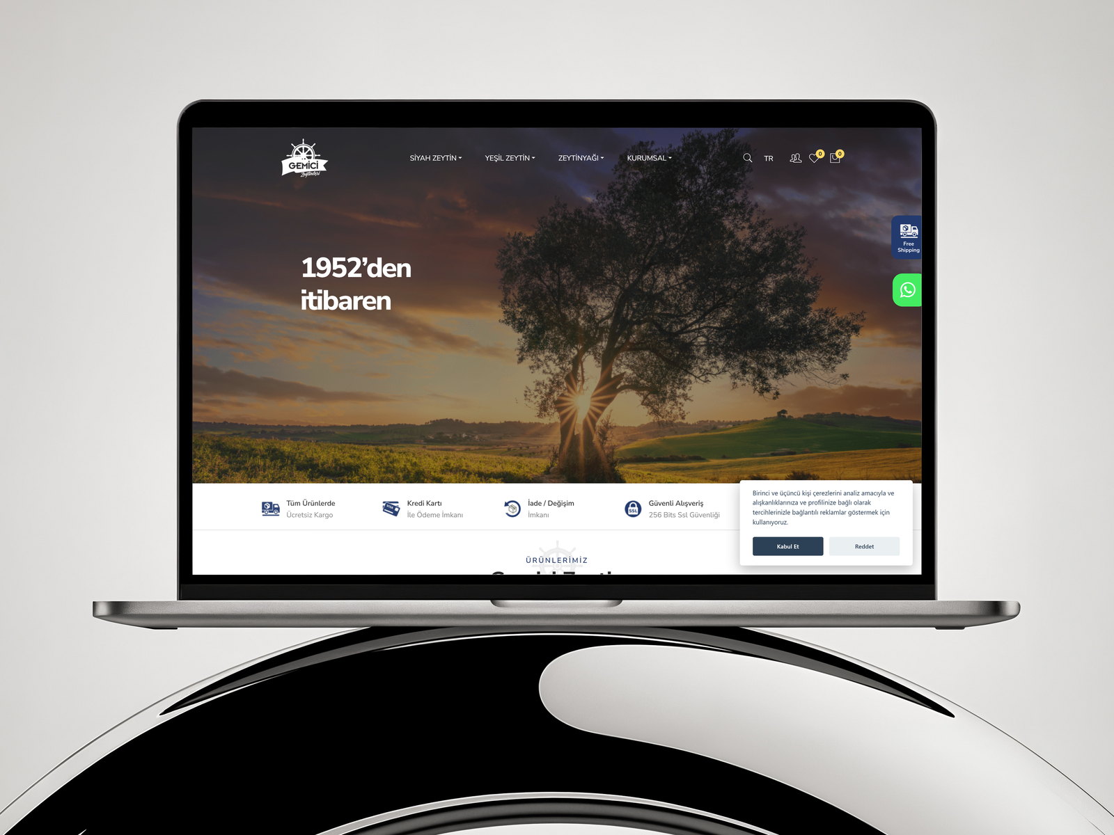 Gemici Zeytin web sitesi ekran görüntüsü